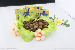 海鮮產(chǎn)品圖片專題 鮮香誘人，一鍵下載海鮮組合裝視覺盛宴